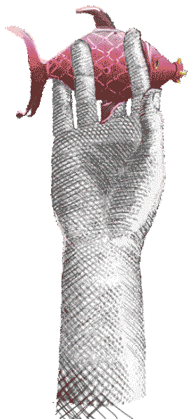 fisch in der hand ist besser als...